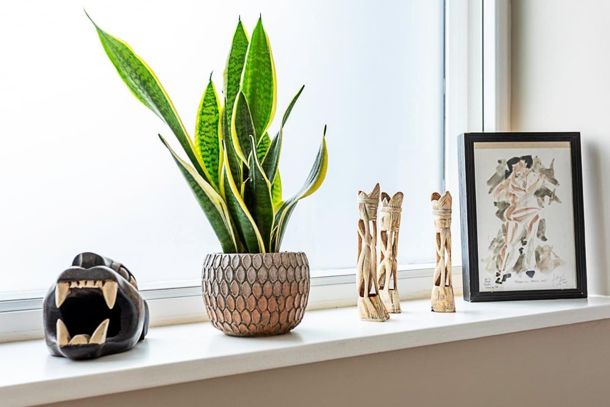 Well-decorated Notting Hill Flat * Londra